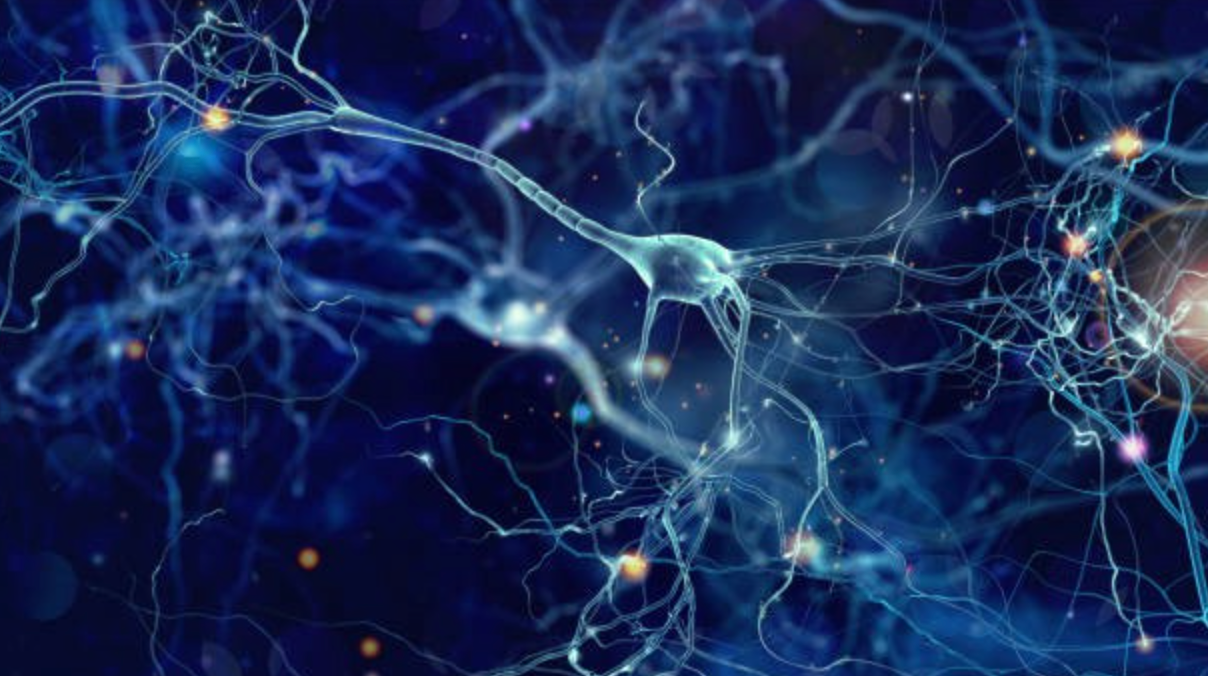 Exploring Huntington’s Disease